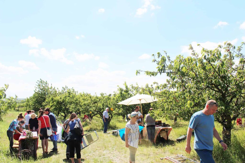 Menschen treffen sich zu einer Veranstaltung im Kirschgarten