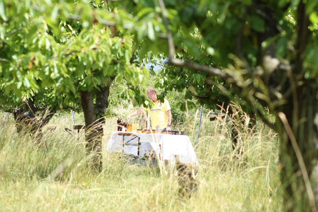 Mann probiert Honig im Kirschgarten